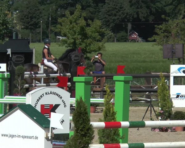 Reitturnier Kirchhellen/Stall Dieckmann 2017