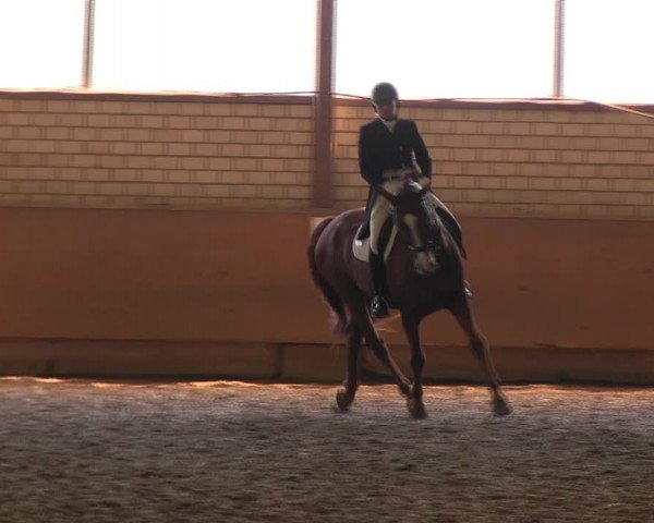 Reitturnier Hellefeld 2017