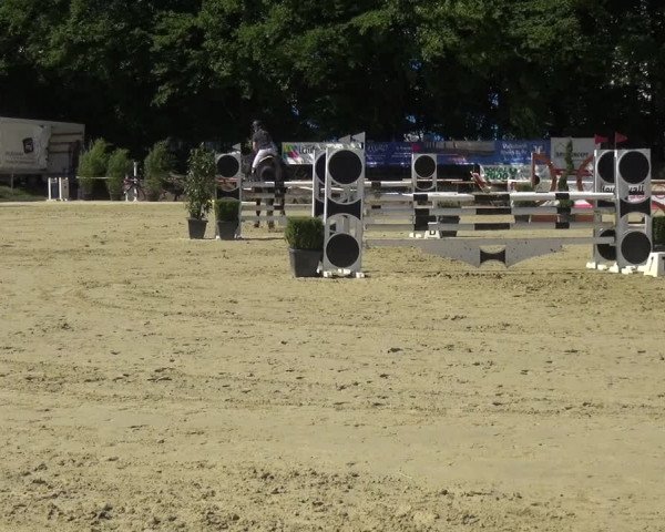 Reitturnier Ratingen-Lintorf 2017