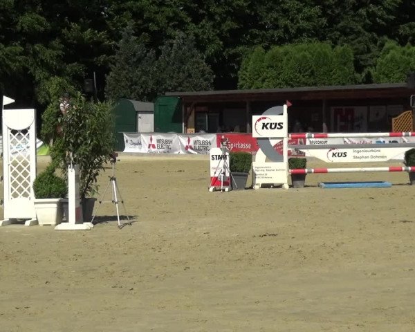 Reitturnier Ratingen-Lintorf 2017