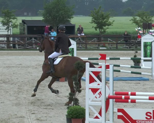 Reitturnier Kirchhellen/Stall Dieckmann 2017