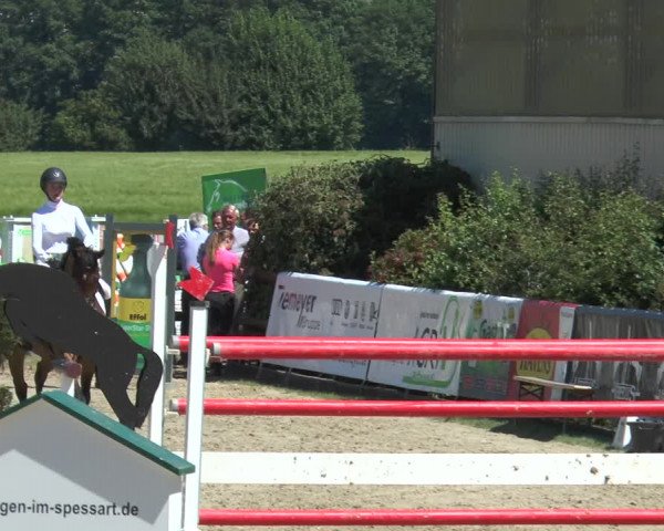 Reitturnier Kirchhellen/Stall Dieckmann 2017