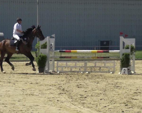 Reitturnier Ratingen-Lintorf 2017