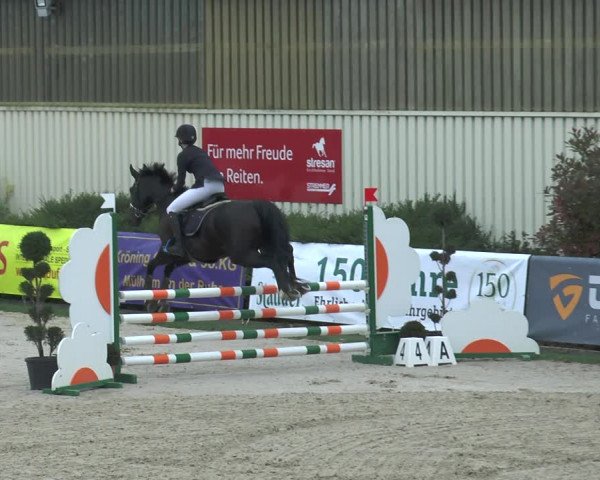 Reitturnier Kirchhellen/Stall Dieckmann 2017