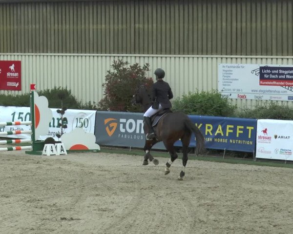 Reitturnier Kirchhellen/Stall Dieckmann 2017