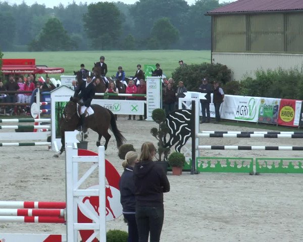 Reitturnier Kirchhellen/Stall Dieckmann 2017