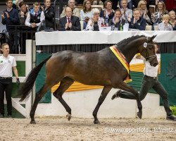broodmare Belle Fleur (Trakehner, 2015, from E.H. Millennium)