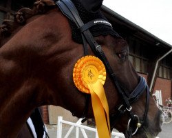 dressage horse Fornori (Westphalian, 2009, from Fiano)