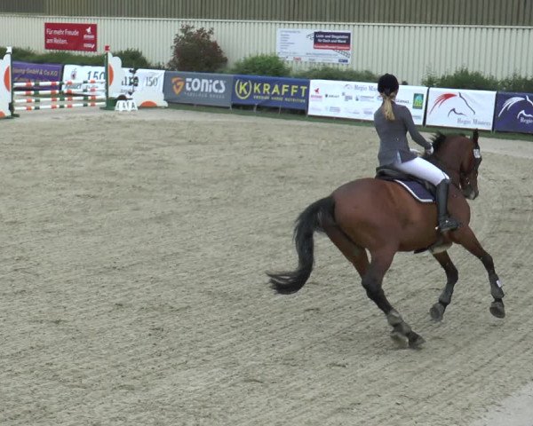 Reitturnier Kirchhellen/Stall Dieckmann 2017