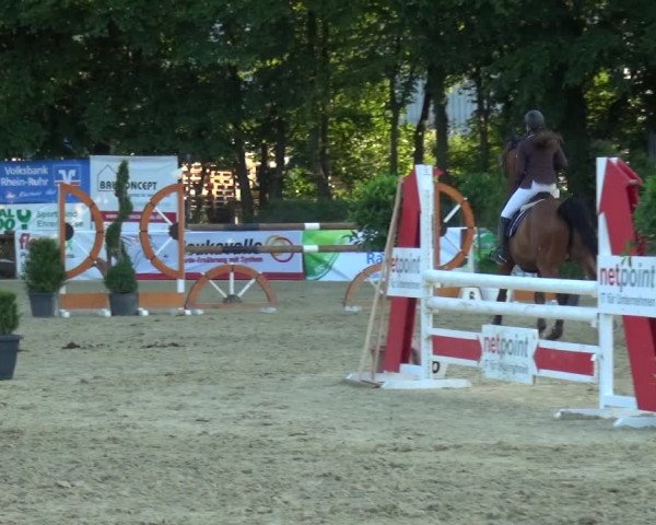 Reitturnier Ratingen-Lintorf 2017