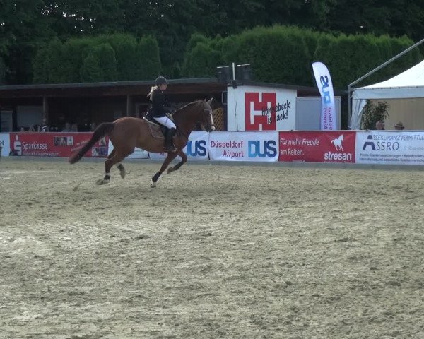 Reitturnier Ratingen-Lintorf 2017
