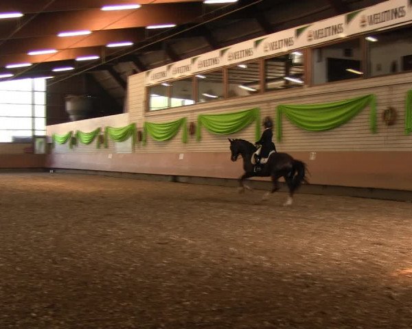 Reitturnier Hellefeld 2017
