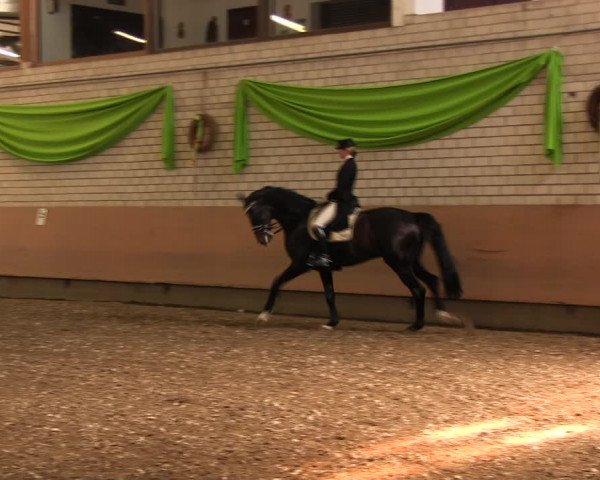 Reitturnier Hellefeld 2017