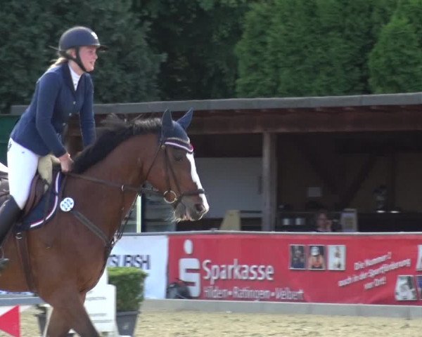 Reitturnier Ratingen-Lintorf 2017