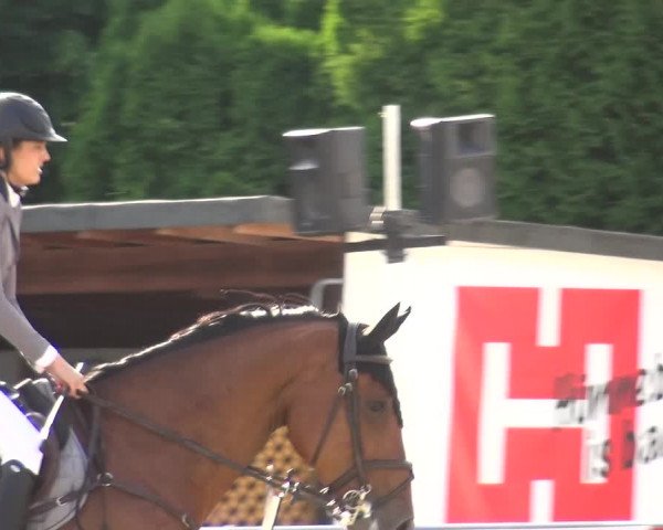 Reitturnier Ratingen-Lintorf 2017
