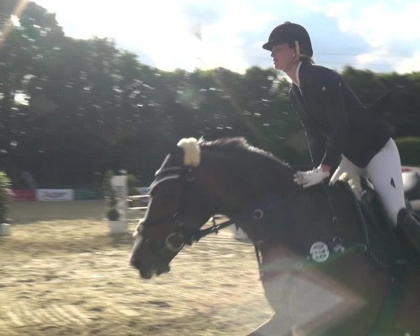 Reitturnier Ratingen-Lintorf 2017