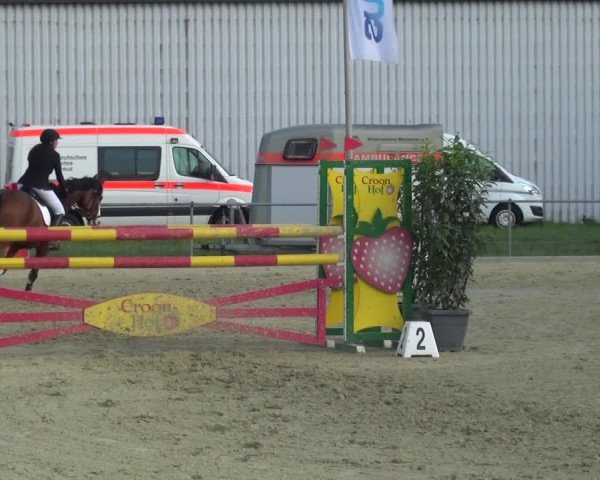 Reitturnier Ratingen-Lintorf 2017