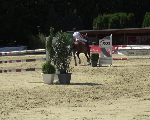 Reitturnier Ratingen-Lintorf 2017