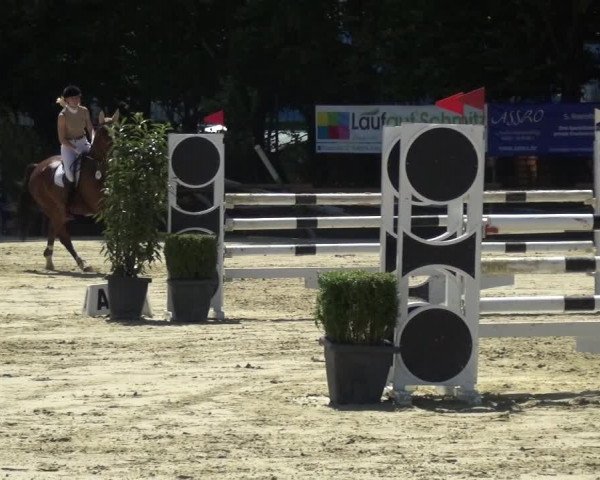 Reitturnier Ratingen-Lintorf 2017