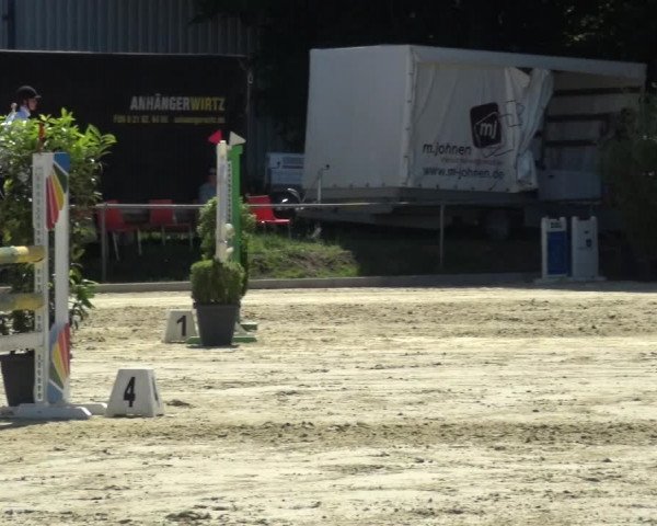 Reitturnier Ratingen-Lintorf 2017
