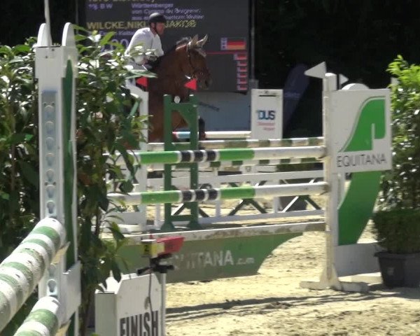Reitturnier Ratingen-Lintorf 2017