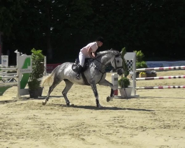 Reitturnier Ratingen-Lintorf 2017
