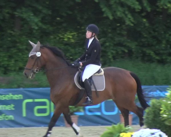 Reitturnier Ratingen-Lintorf 2017