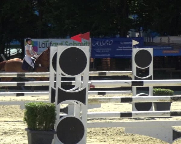 Reitturnier Ratingen-Lintorf 2017