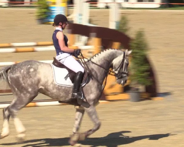 Reitturnier Hamm-Rhynern 2017