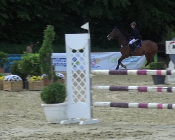 Reitturnier Ratingen-Lintorf 2017