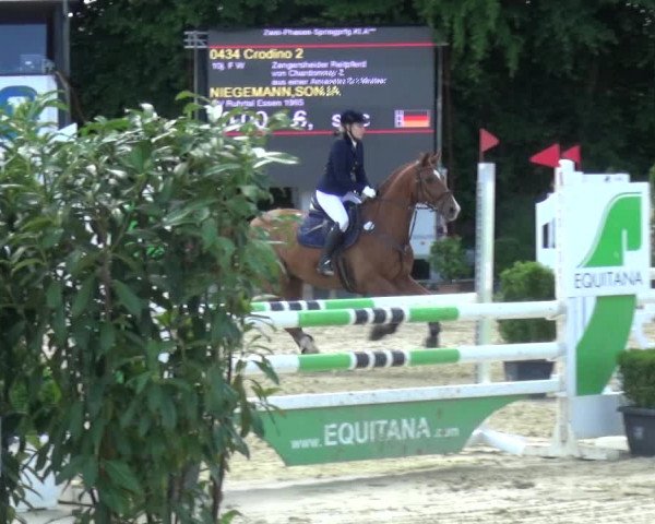 Reitturnier Ratingen-Lintorf 2017