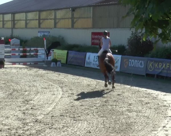 Reitturnier Kirchhellen/Stall Dieckmann 2017