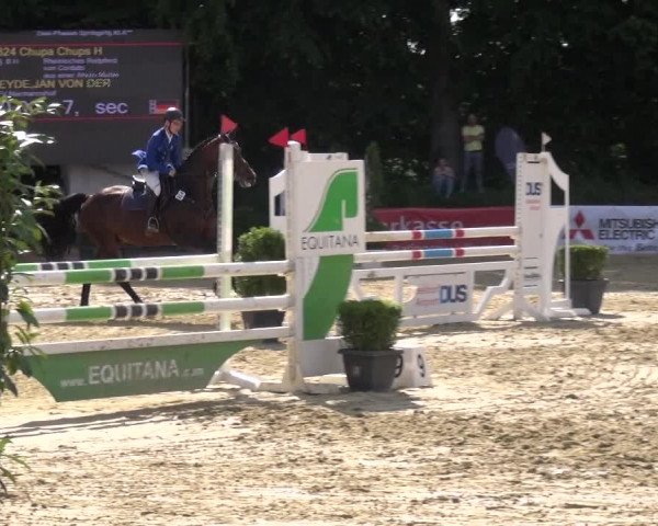 Reitturnier Ratingen-Lintorf 2017
