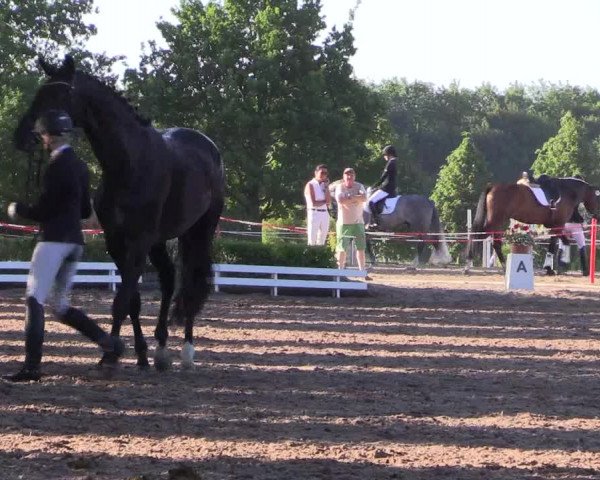 Reitturnier Hamm-Rhynern 2017