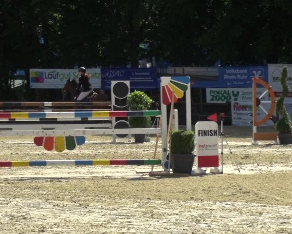Reitturnier Ratingen-Lintorf 2017