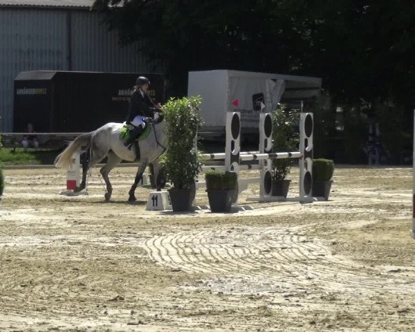 Reitturnier Ratingen-Lintorf 2017