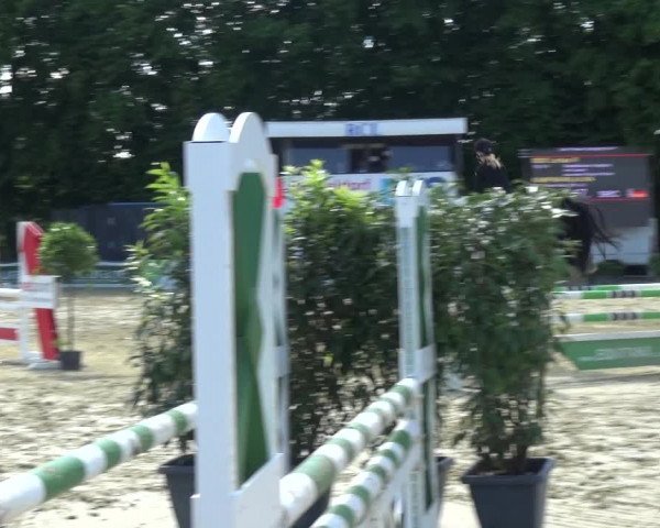 Reitturnier Ratingen-Lintorf 2017