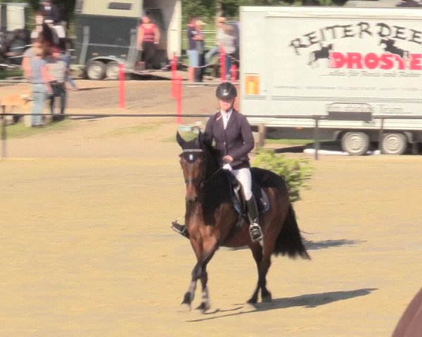 Reitturnier Hamm-Rhynern 2017