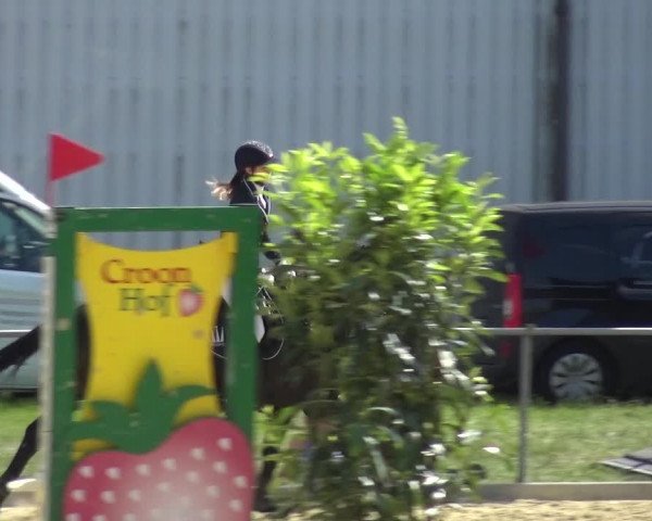 Reitturnier Ratingen-Lintorf 2017