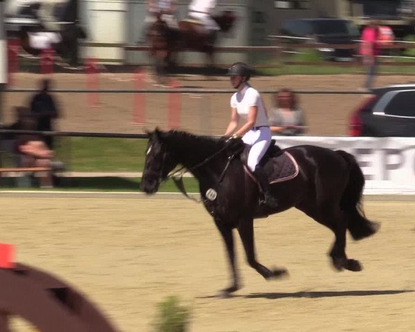 Reitturnier Hamm-Rhynern 2017