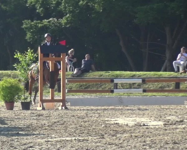 Reitturnier Burscheid-Paffenlöh 2017