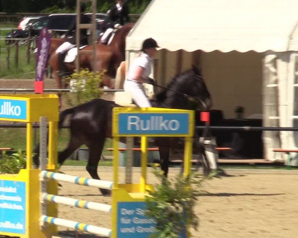 Reitturnier Hamm-Rhynern 2017