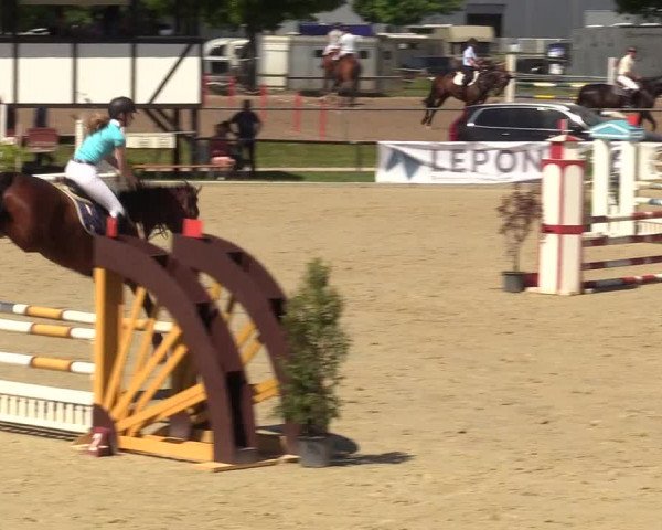 Reitturnier Hamm-Rhynern 2017