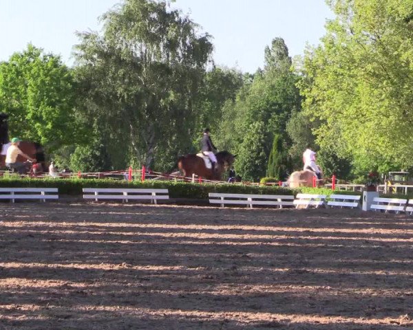 Reitturnier Hamm-Rhynern 2017