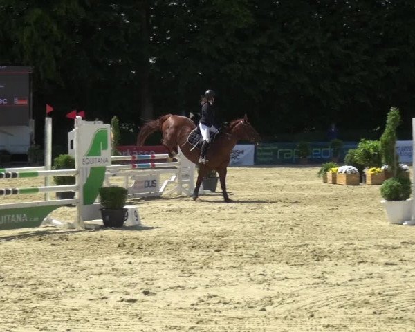 Reitturnier Ratingen-Lintorf 2017
