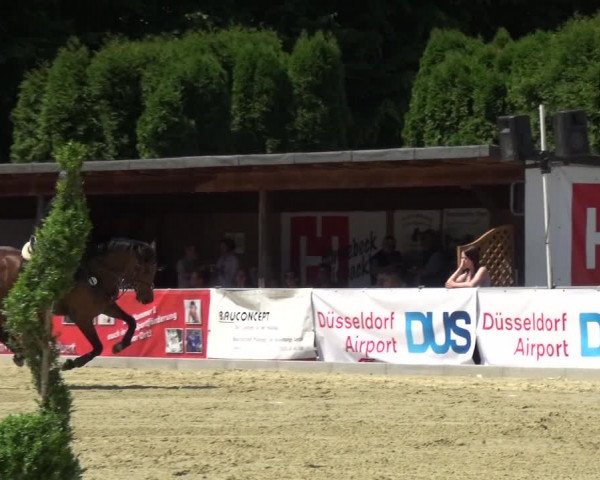 Reitturnier Ratingen-Lintorf 2017
