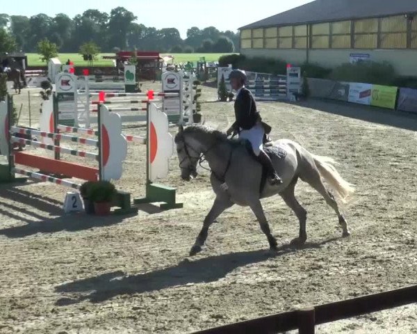 Reitturnier Kirchhellen/Stall Dieckmann 2017