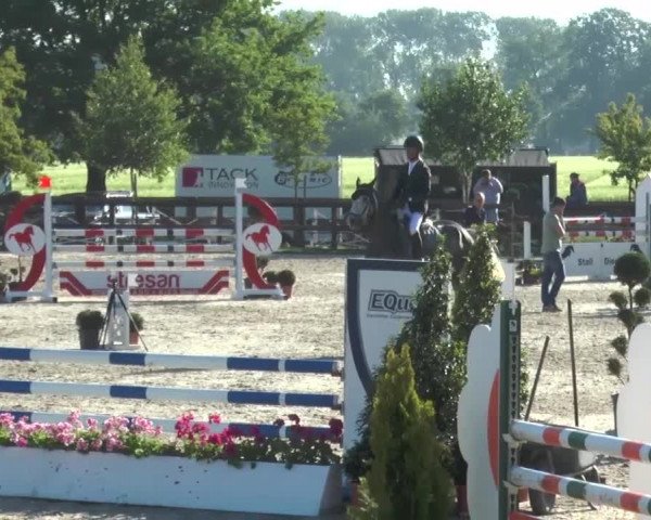 Reitturnier Kirchhellen/Stall Dieckmann 2017