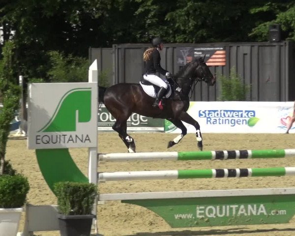 Reitturnier Ratingen-Lintorf 2017