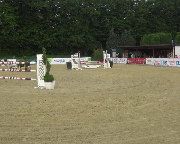 Reitturnier Ratingen-Lintorf 2017